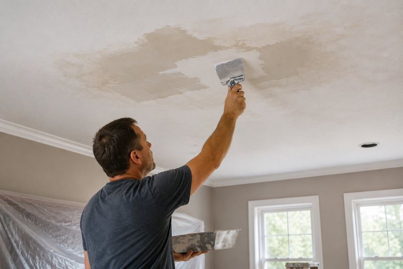 Attic Water Damage Repair in Conroe, TX